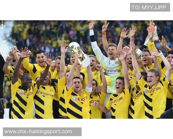 全球足球赛事全景解析包括联赛杯赛和国际比赛的多样性